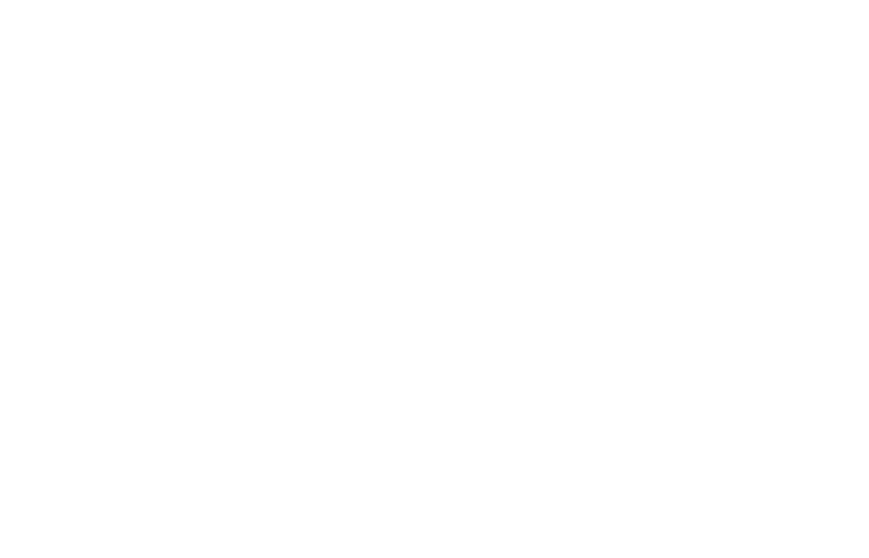 TorresElectricLogoWhite